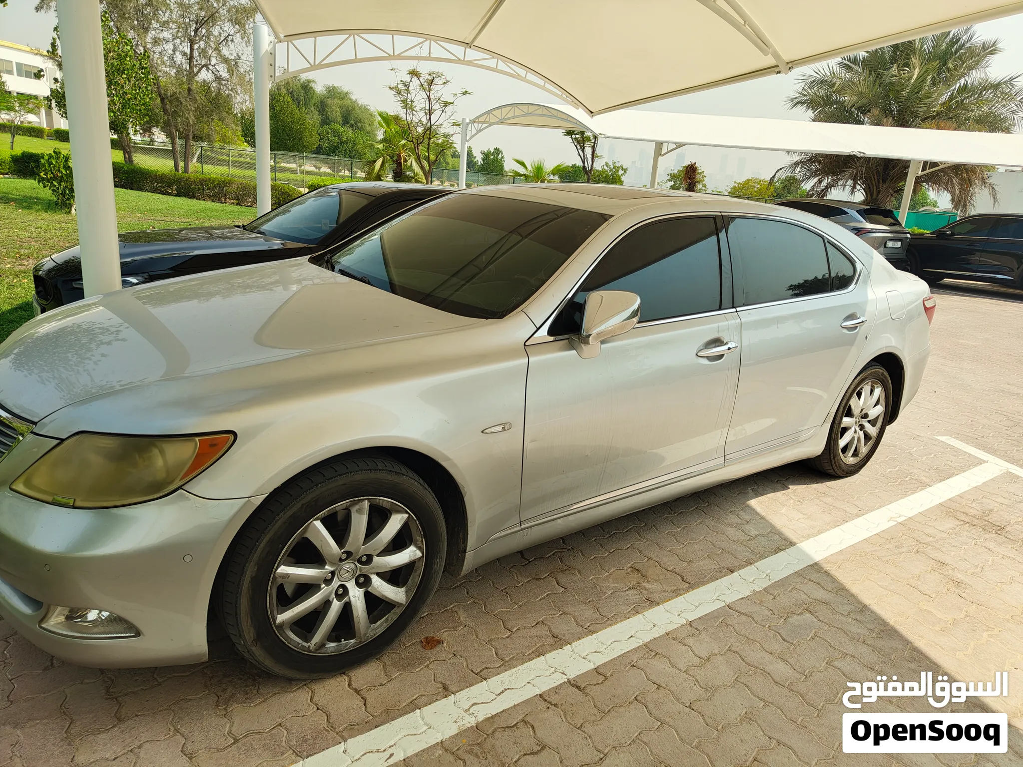 2009 Lexus LS