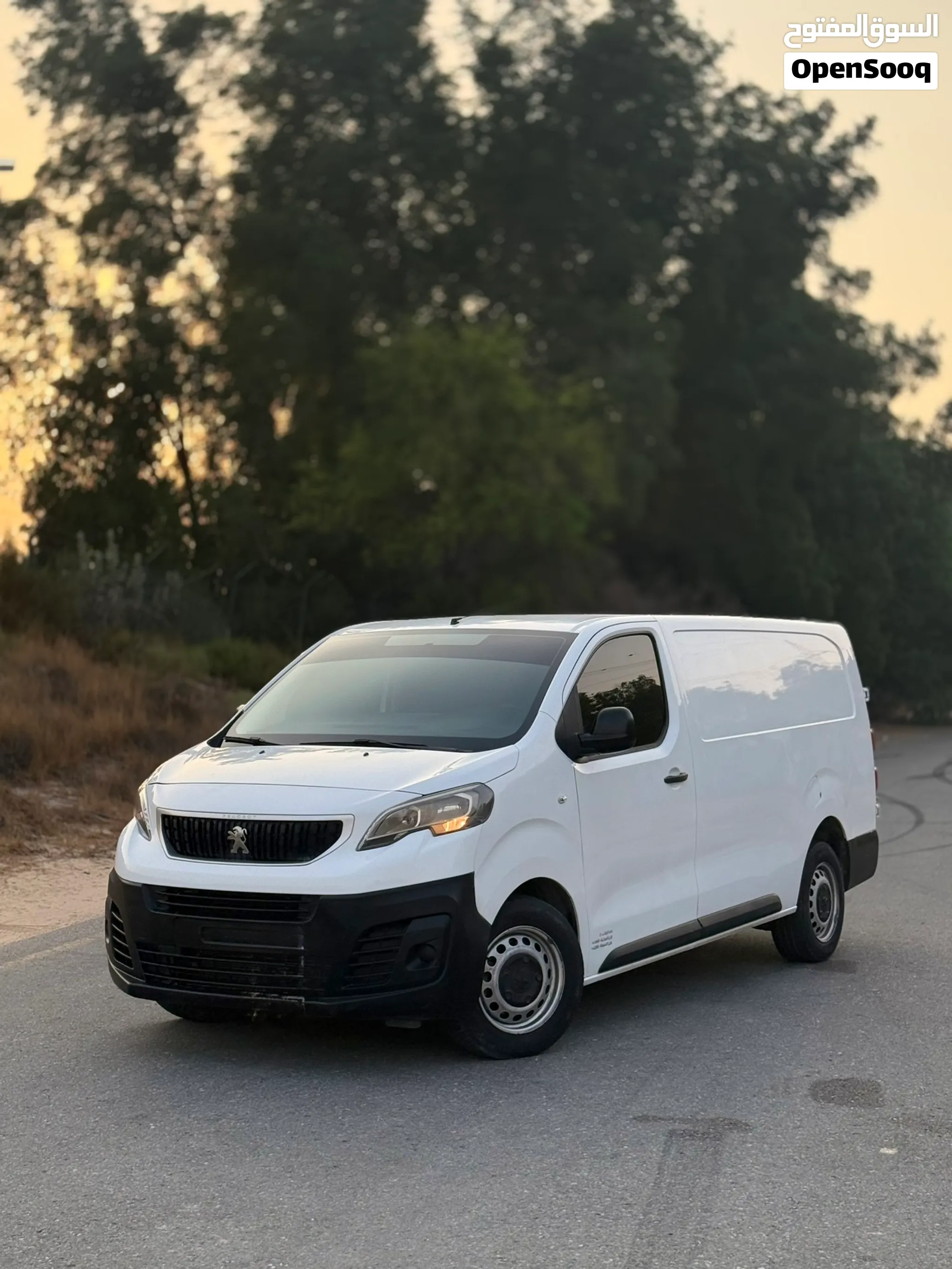2020 Peugeot Expert