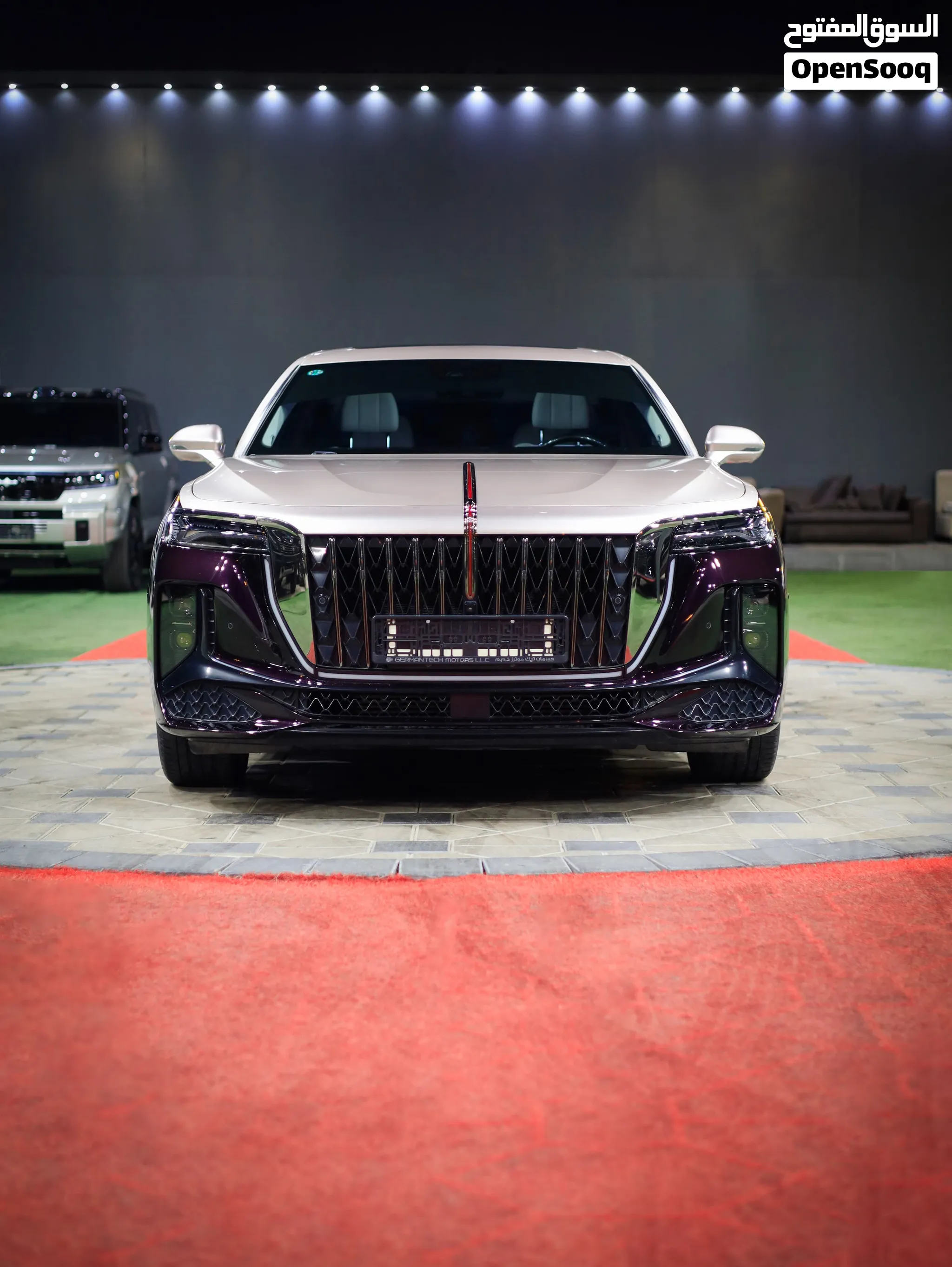 2025 Hongqi H9