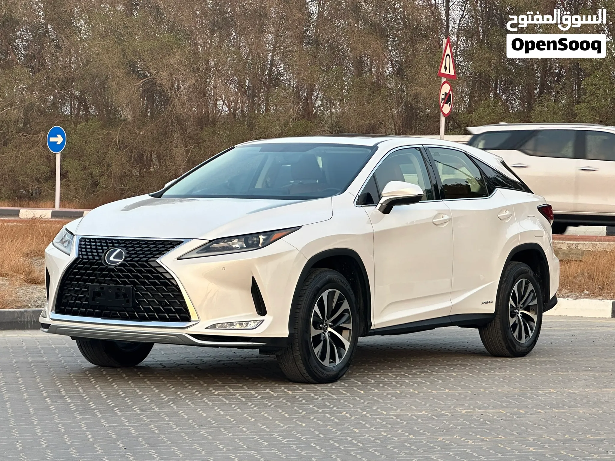 2020 Lexus RX