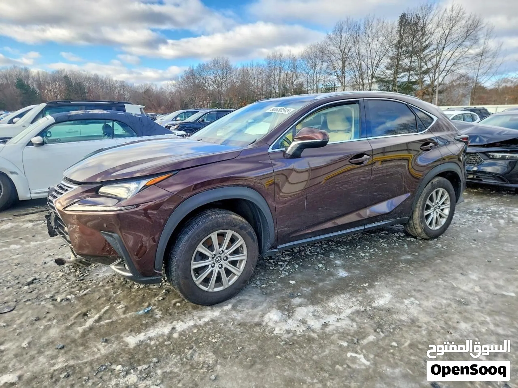 2019 Lexus NX