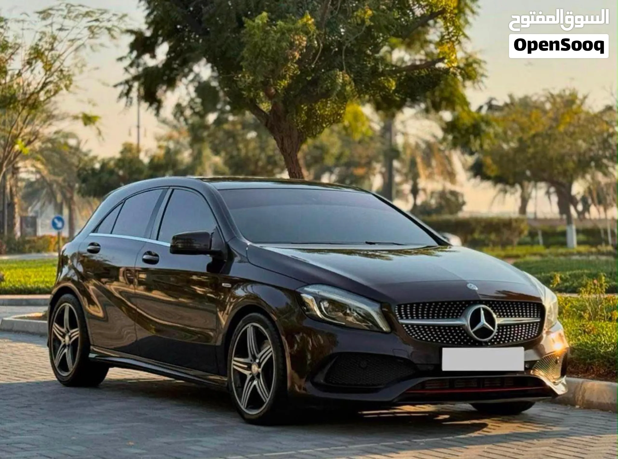 2016 Mercedes Benz A-Class