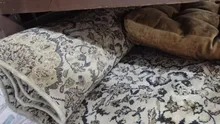 سجاد موكيت نظيف للبيع