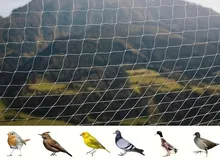 شبك حماية الحيوانات وصيد الطيور