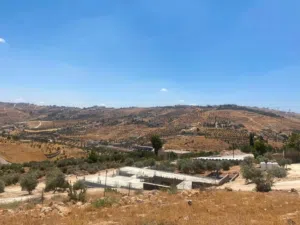 750 م ام رمانه ( دغيليب) منطقة فلل مطله ع شفا بدران جميع الخدمات مميزه