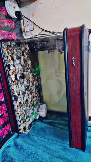 حوض سمك ماركه عالميه CAMRYاستخدام بسيط كوالتي عالي بحاله ممتازة جدا كامل مكمل جاهز للاستخدام