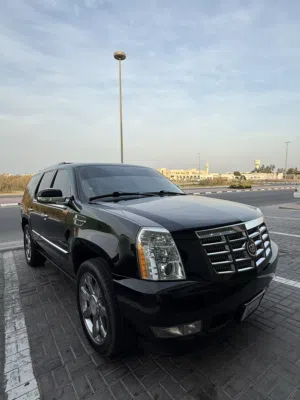 Used Cadillac Escalade in Um Al Quwain