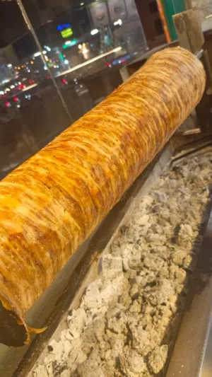 مطلوب شريك ممول