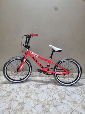 bmx bike  20 in