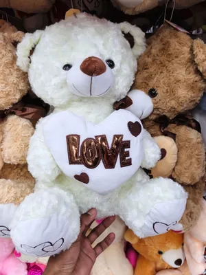teddy bear