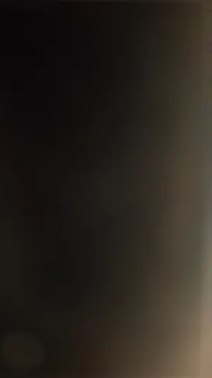 مصنع اخشاب