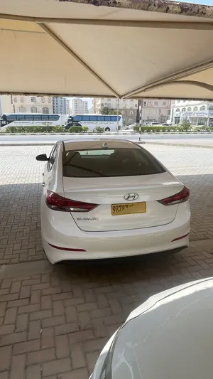 Used Hyundai Elantra in Dhofar