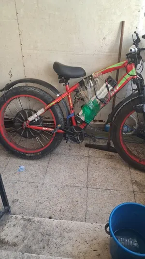 بسكليت كهربا