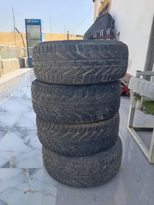 كوشوك ثلجي
