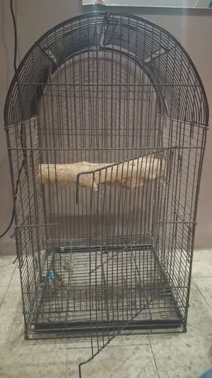 قفص كاسكو كبير