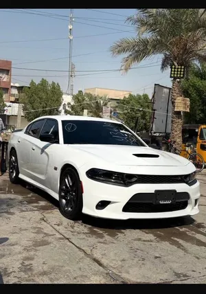 دوج جارجر سكات باك 2023