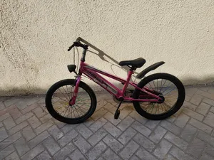 BMX-Style Kids/Youth Bicycle