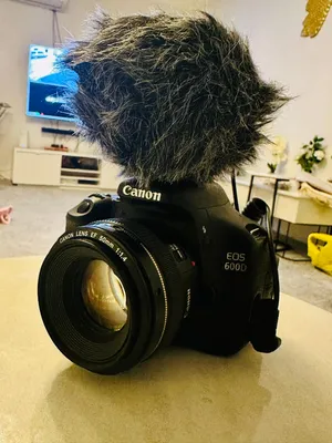 Canon EOS 600D with canon 50mm 1.4f ultrasonic LANs