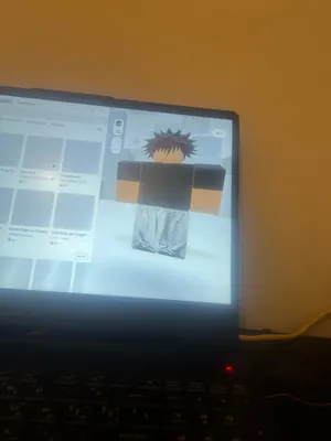 Roblox acc