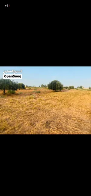 Residential Land for Sale in Tripoli Qasr Bin Ghashir