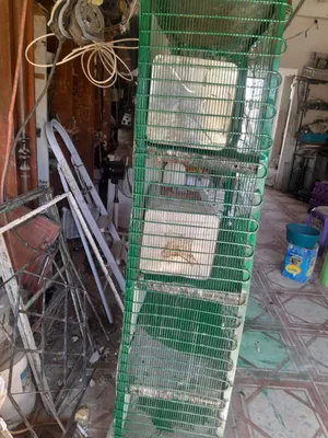 قنون حمام 4 طوابق