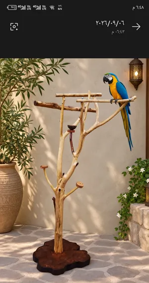 ستاند للكاسكو ولطيور الكبيره Stand for large birds