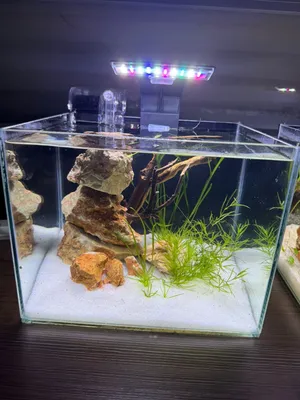 6mm glass aquarium for sale