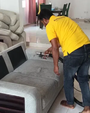 Carpet and sofa cleaning /House cleaning/Dining chair cleaning