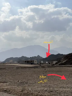 ارض مساحه 800 متر مستويه
