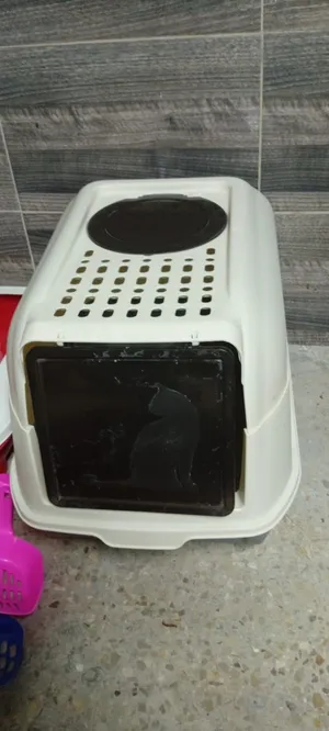 اغراض قطط للبيع
