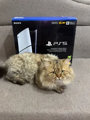 PlayStation 5 PlayStation for sale in Al Batinah