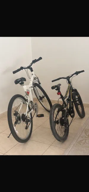 Adult bike ( Upten ) and Kids bike Spartan for sale . name your price