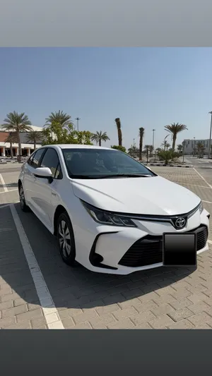 Toyota Corolla hybrid 2023