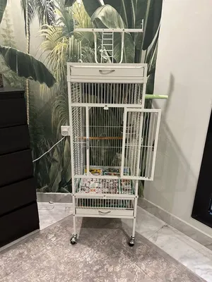 Large Parrot Cage with Play Top & Wheels — WhiteSpacious white metal parrot cage in excellent condit