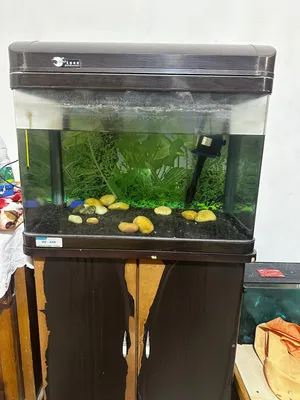 حوض امريكي ماركة RS-60B حجم 60*45 مستعمل للبيع