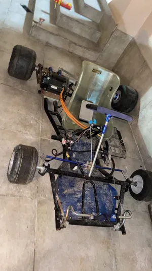 Go cart with out a battery each tire cost 1,5k and the Fran it self is 7k it has a 35kw 4000w