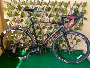 Galaxy RL 500