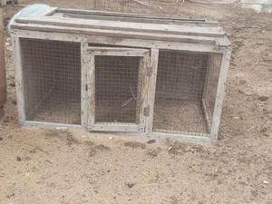 4بارتيات ربي يبارك اقرأ الوصف