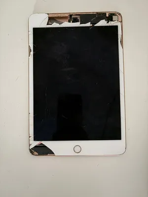 iPad mini الجيل الخامس