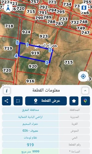 10دونم المفرق