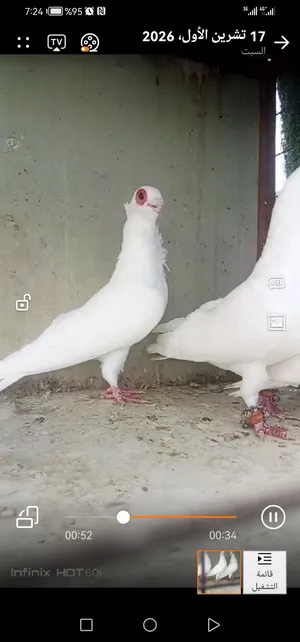4 جواز تبارك الرحمن