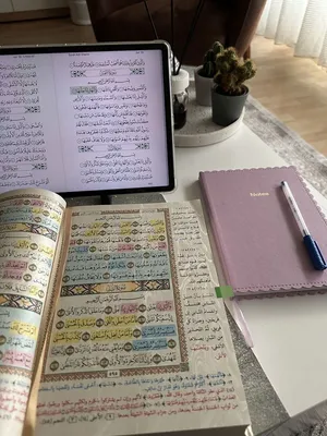 مُعَلِّمَة قُرْآن ولُغة عَربية (تأسيس وحتى الصف التاسع) عَن بُعد.