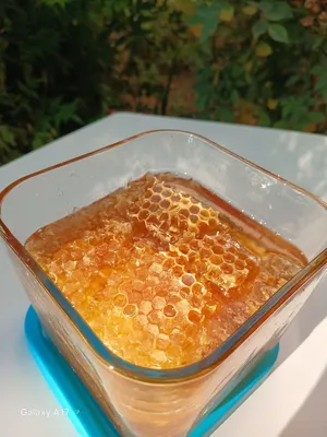 عسل طبیعی 100% تم فحصه فی مختبر علوم الكیمیاء فی جامعة صلاح الدین اربیل