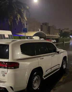 للبيع شواهين ورنقات هلل 17 استعمال موسم
