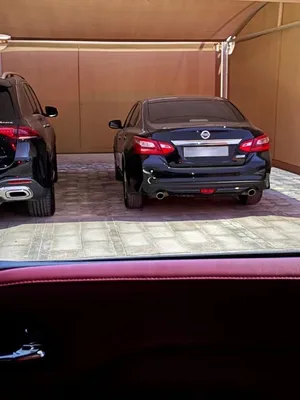 التيما 2017