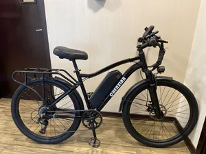 electric bike (Chenxian)