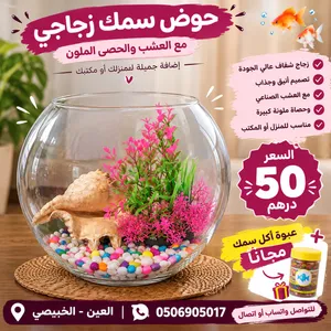 حوض سمك زجاجي كبير للزينة مع عشب وحصى ملون + أكل سمك مجانًا
