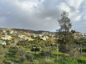 ارض سكن ( ج ) للبيع بيرين حوض الحبل بالقرب من شفابدران