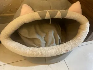 Cat house for 10AED