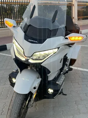 قولد وينق موديل 2018
